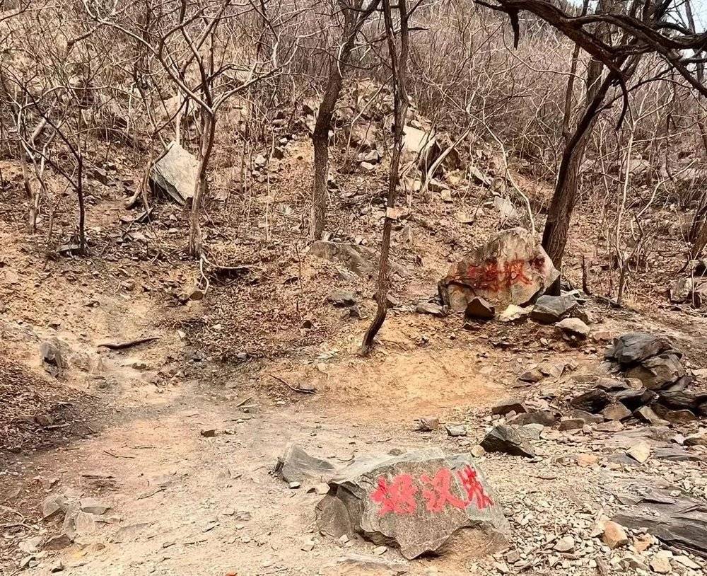 角子機：內卷最狠的人都在爬野山