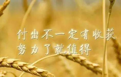 {賭馬}(微语录每天一句正能量简短)