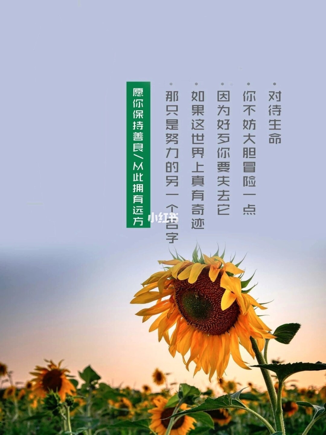 {賭馬}(微语录每天一句正能量简短)