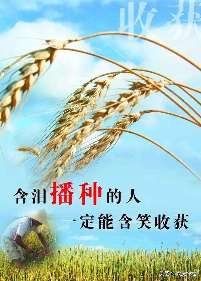 {線上賭場}(免费观看网站正能量www正能量不用下载)