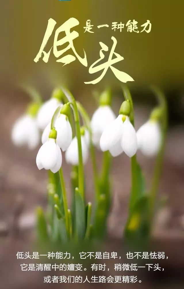 {娛樂城}(满满正能量短句文案)